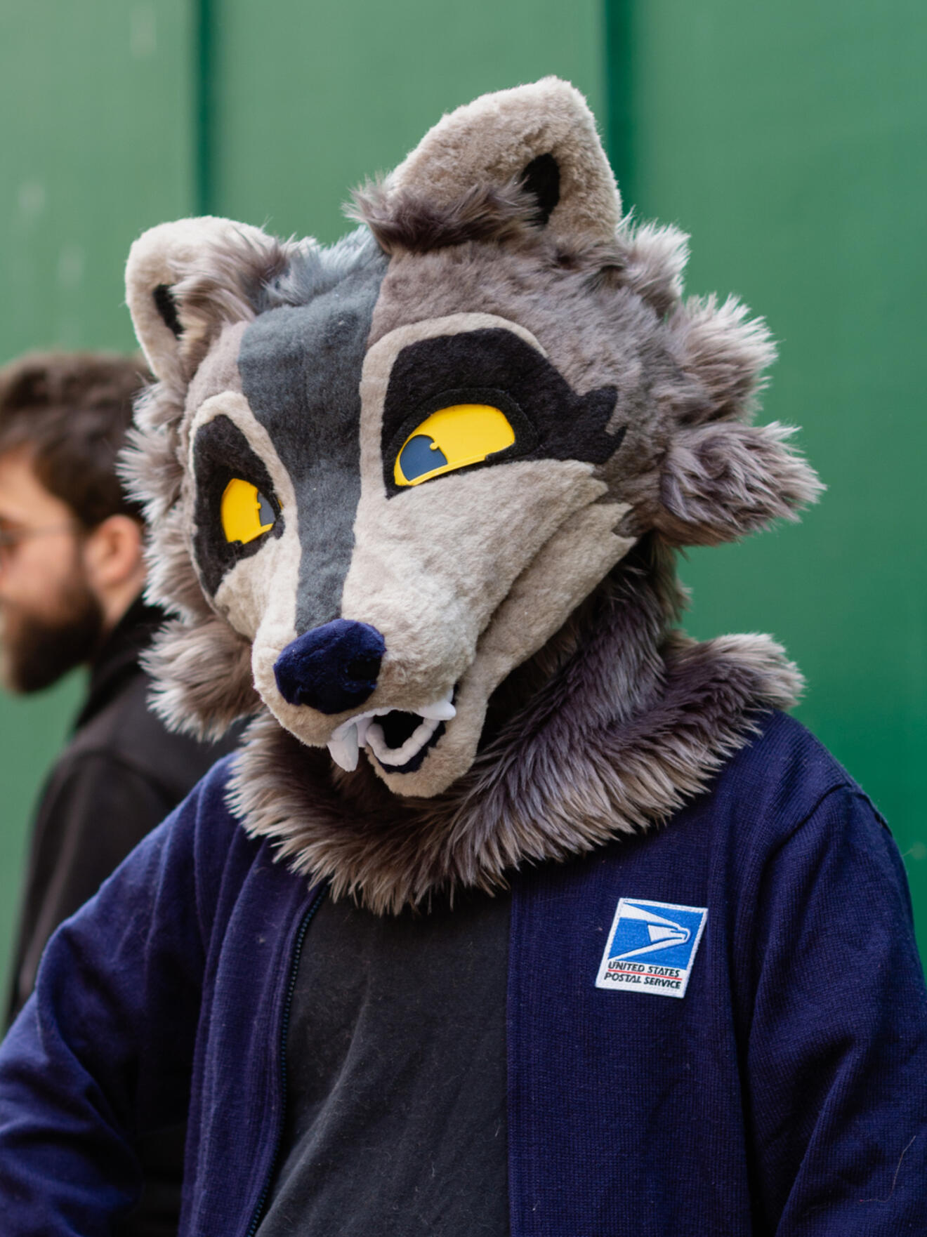 Rogier the raccoon